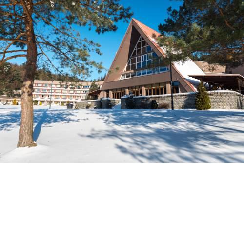 Activitypark Hotel Vsemina