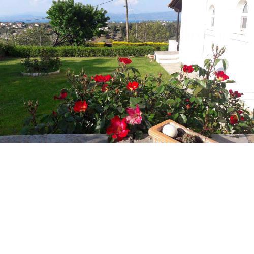 Adams Studio in Oropos