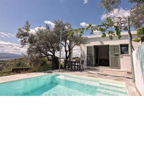 Admonis - Home in the olive grove