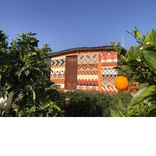Afrikan Krisant Tenerife Casa Rural RK