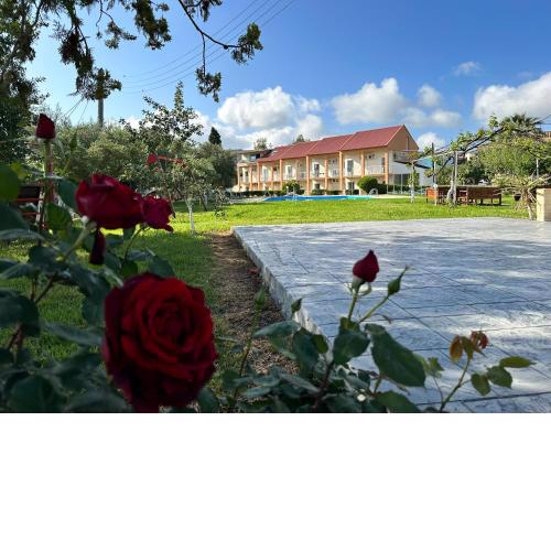 Aggelos Family Hotel