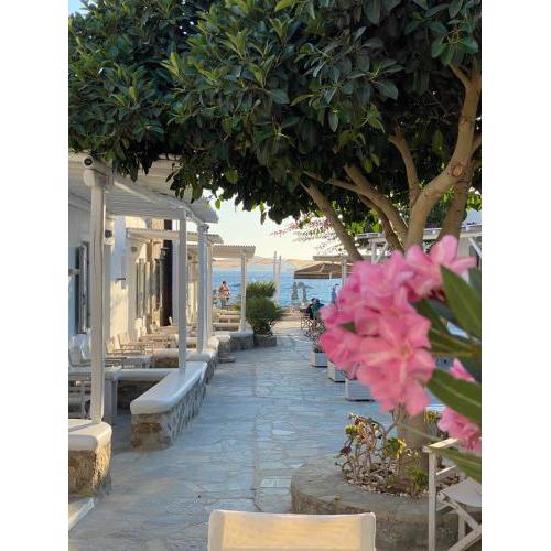 Agia Anna Beachfront Boutique