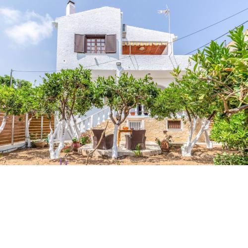 Agia Pelagia Blue