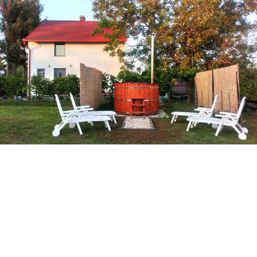 Agnes' Vineyard