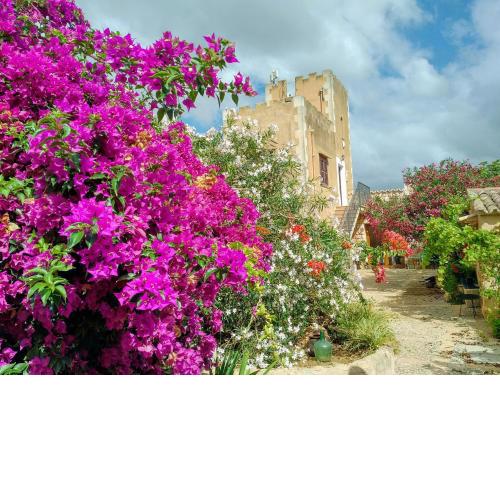 Agroturismo Son Marimon