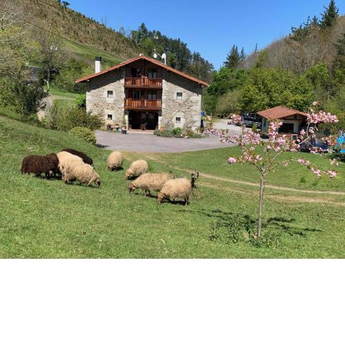 Agroturismo Urresti