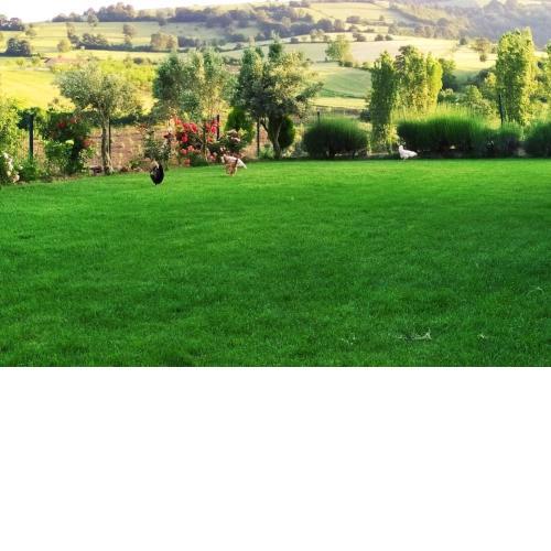 AHŞAP EV, DOĞAL YAŞAM, MÜKEMMEL DOĞA, KUŞ SESLERİ