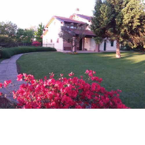 “Al Campo”