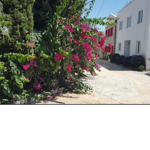 ALAÇATI Merkezde Daire