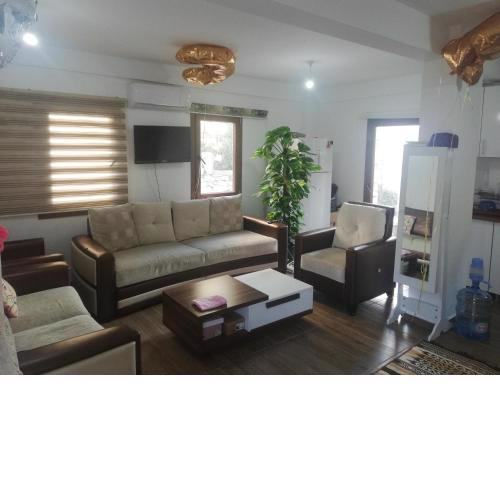 Albayrak Homes