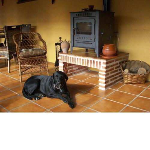 Albergue Estrella Del Camino