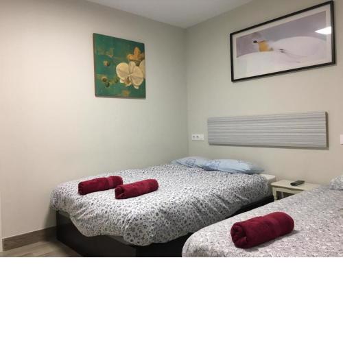 Albergue Logroño Centro