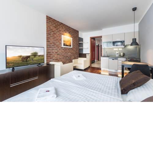 Albertov Rental Apartments