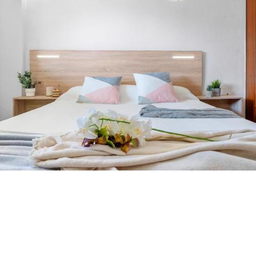 Alea Rentals - Albeniz