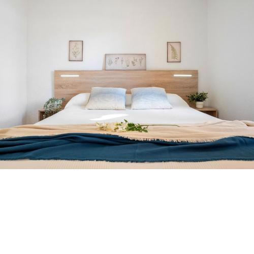 Alea Rentals - Cye 5
