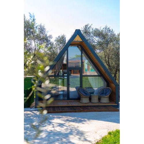 Alegorri Homes