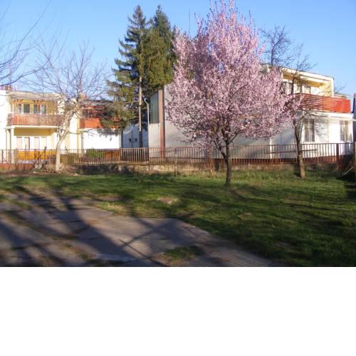 Alexa apartman