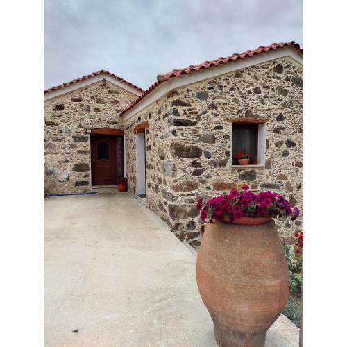 Alexander's cottage