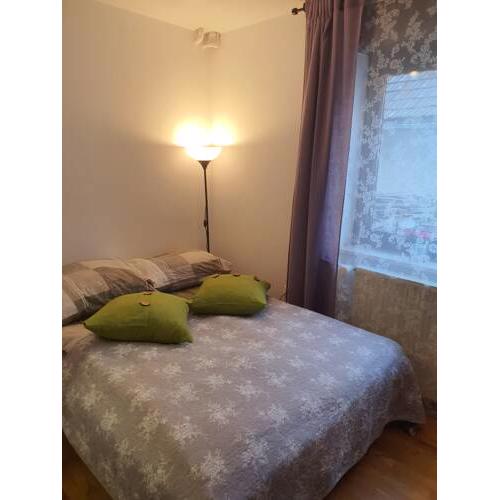 ALFA guesthouse