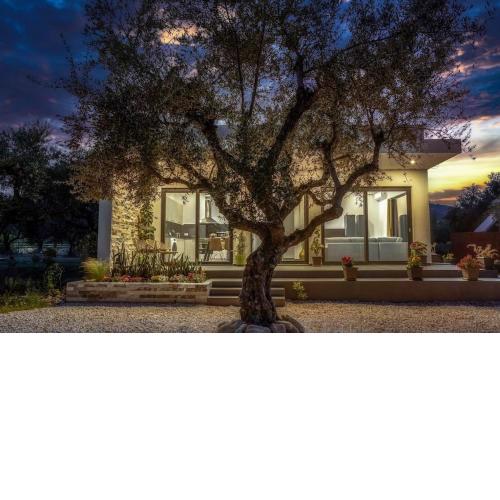 ALFI'S HOUSE LITHAKIA ZAKYNTHOS