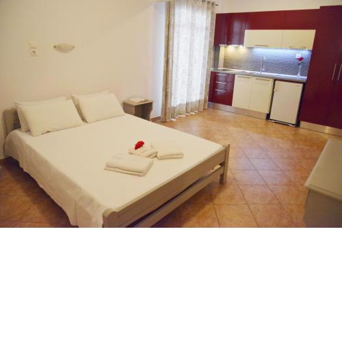 ALISAHNI STUDIO