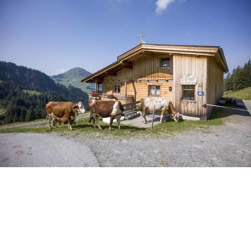 Alm-Appartement