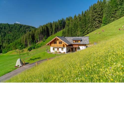 Almchalet Linharterhof