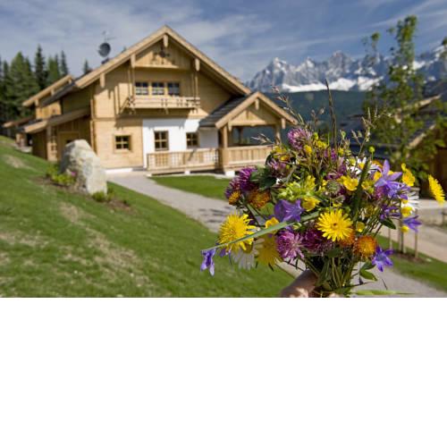 Almdorf Reiteralm