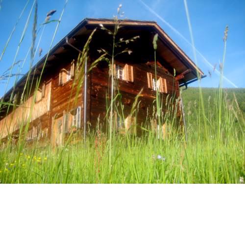 Almhütte Gorgasser