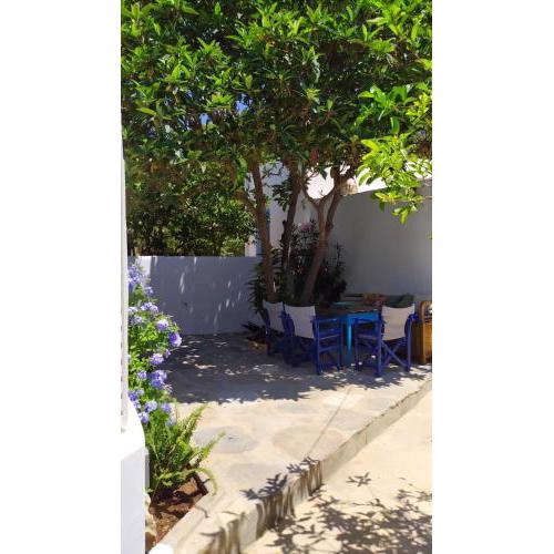 Almond trees house