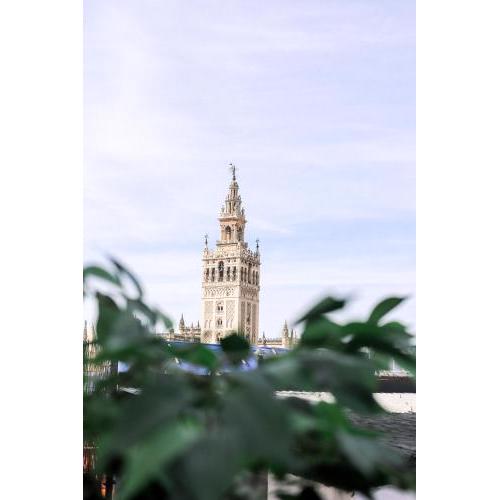 AlohaMundi Catedral