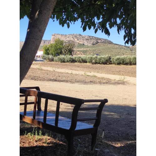 Alojamiento rural Huerta Mandre