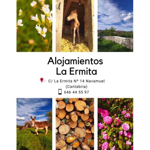 Alojamientos La Ermita