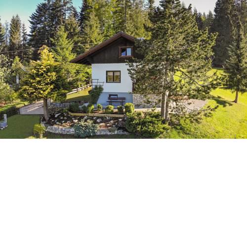 Alpenchalet - Rehkogl 46
