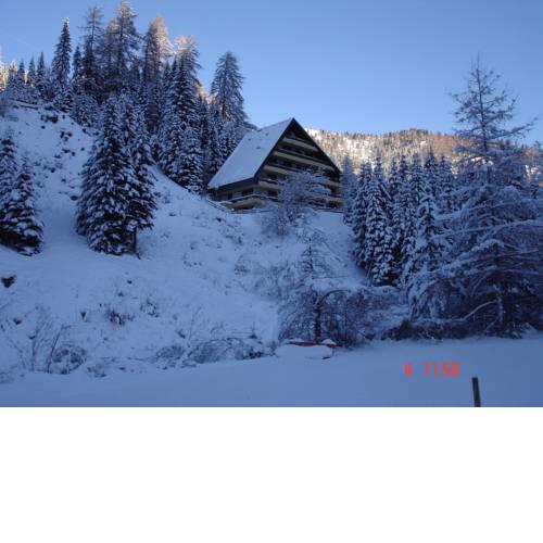 Alpine Apartment