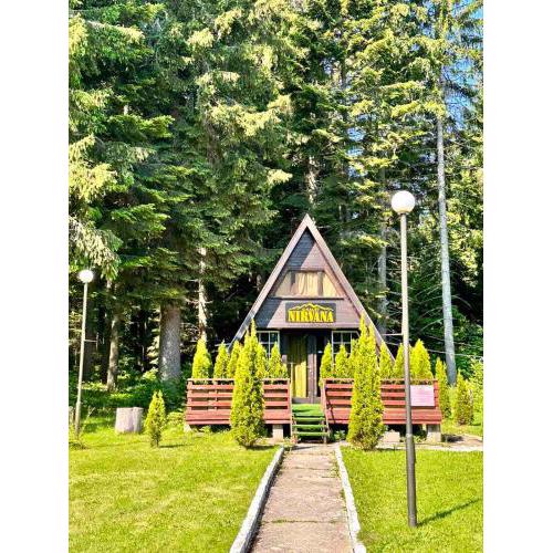 Alpine chalet NIRVANA