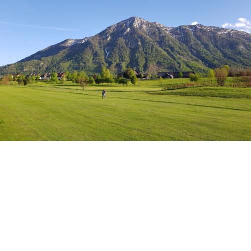 Alps View City Center Apartment