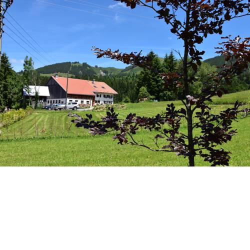 Am Hof Jungholz