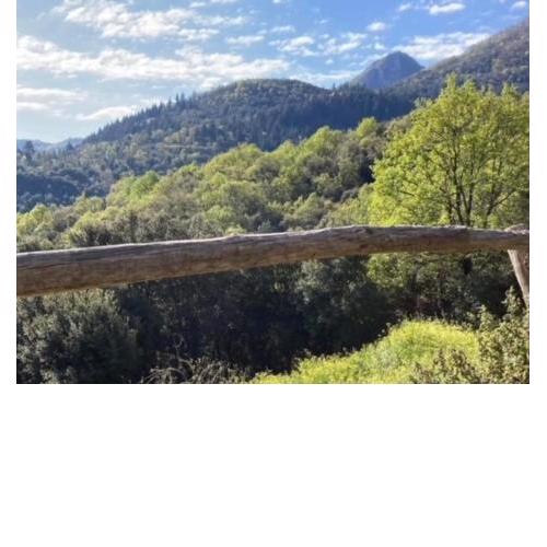 Amazing 4-Bed Cottage lost in Montseny Nature