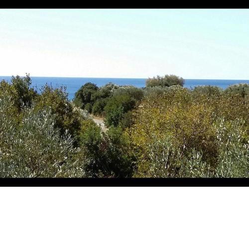 Amazing Cottage close from the sea - Crete