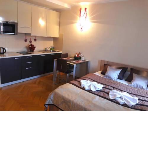 Amazing flat in the heart of the Prague