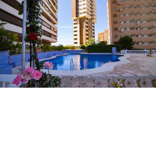 Amazing Panoramic View Trinisol 2