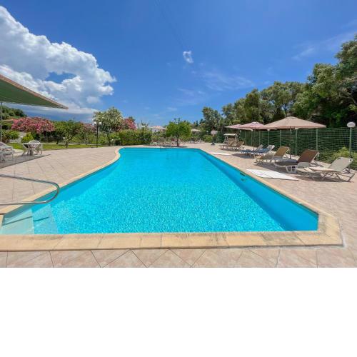 Amazona Apartments and Studios