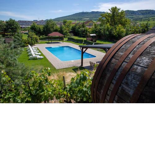 Amenity Penzion Horni Vestonice