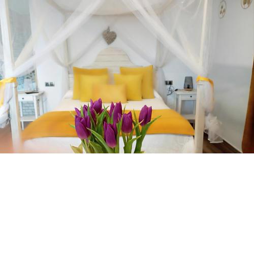 Amplia Habitación con Jacuzzi y terraza