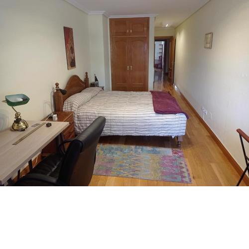 Amplio apartamento en Santander