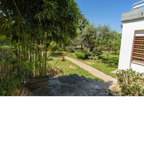 An Edens Garden Near The Sea - Pansion Youli