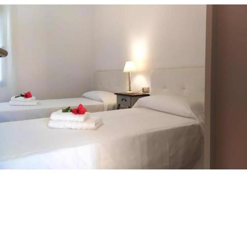 Anahi Homes Corralejo- Dracaena 18