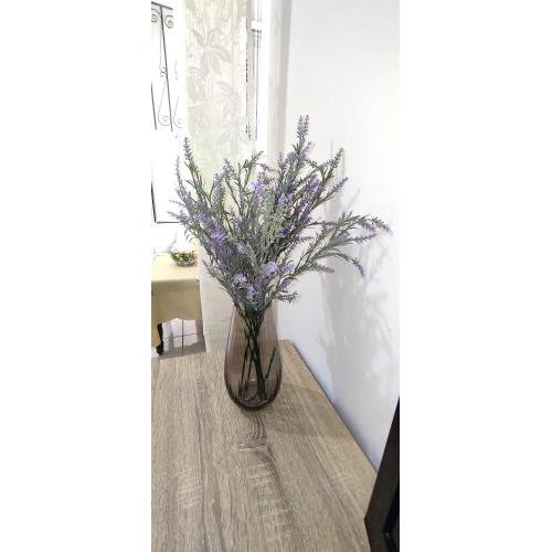 ANASTASIA studio