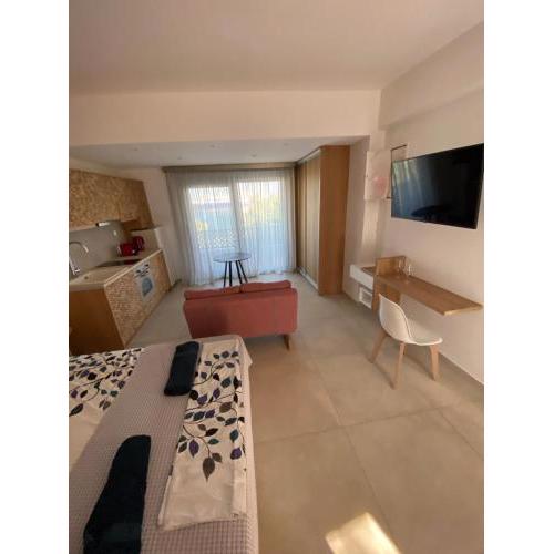 ANAX SUITE
